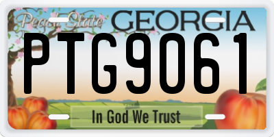 GA license plate PTG9061