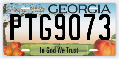 GA license plate PTG9073