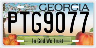 GA license plate PTG9077