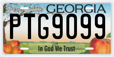 GA license plate PTG9099
