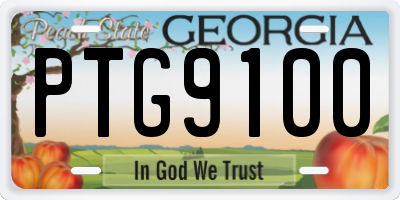 GA license plate PTG9100