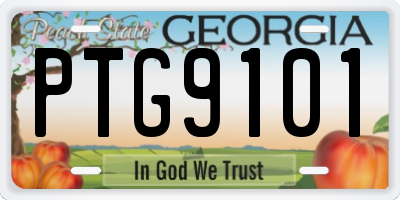 GA license plate PTG9101