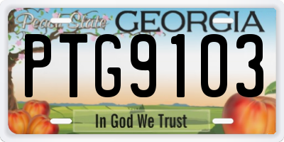 GA license plate PTG9103