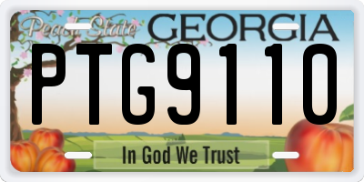 GA license plate PTG9110