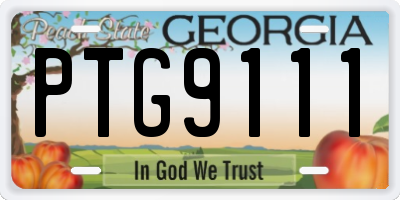 GA license plate PTG9111