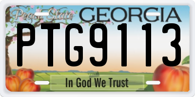 GA license plate PTG9113