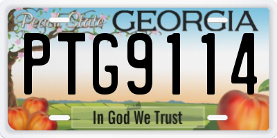 GA license plate PTG9114