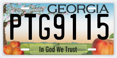 GA license plate PTG9115