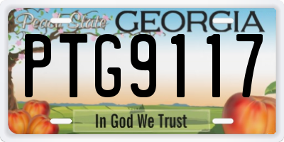 GA license plate PTG9117