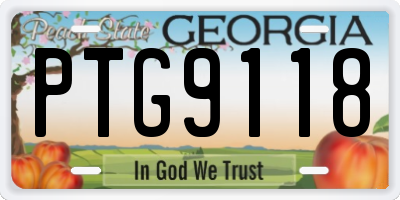 GA license plate PTG9118