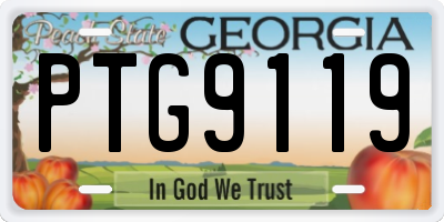 GA license plate PTG9119
