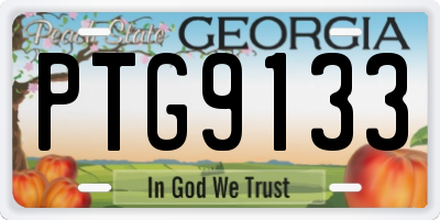 GA license plate PTG9133