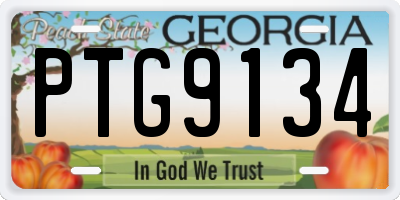 GA license plate PTG9134