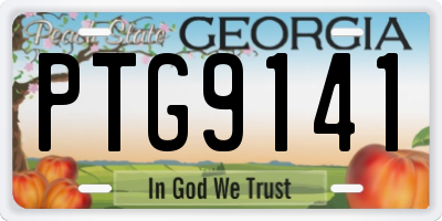 GA license plate PTG9141