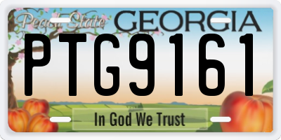 GA license plate PTG9161