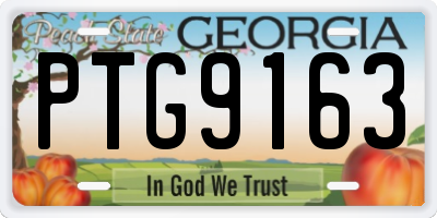 GA license plate PTG9163