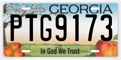 GA license plate PTG9173