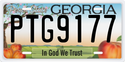 GA license plate PTG9177