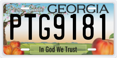 GA license plate PTG9181