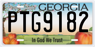 GA license plate PTG9182