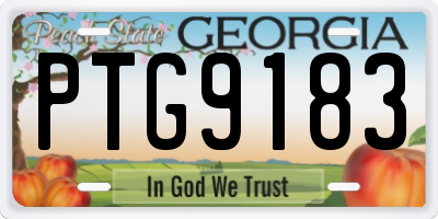 GA license plate PTG9183