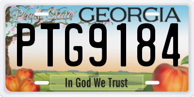 GA license plate PTG9184