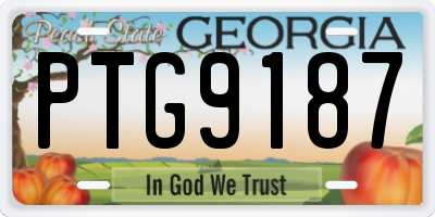 GA license plate PTG9187
