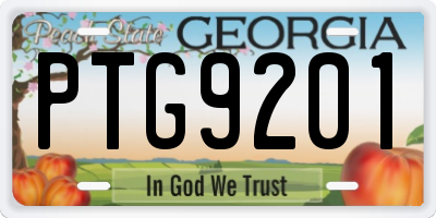 GA license plate PTG9201