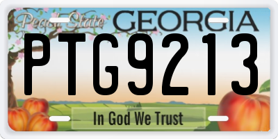 GA license plate PTG9213