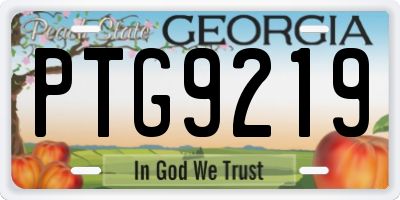GA license plate PTG9219