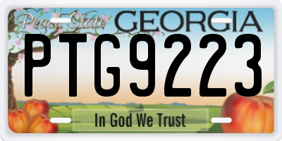 GA license plate PTG9223