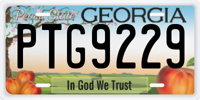 GA license plate PTG9229