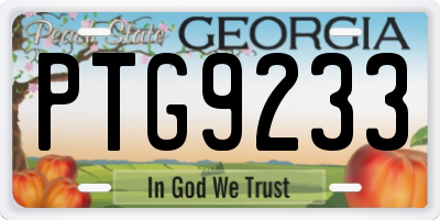 GA license plate PTG9233