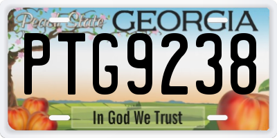 GA license plate PTG9238