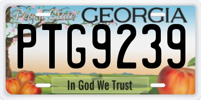 GA license plate PTG9239