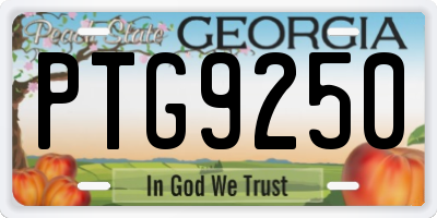 GA license plate PTG9250