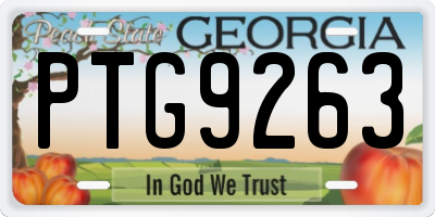 GA license plate PTG9263