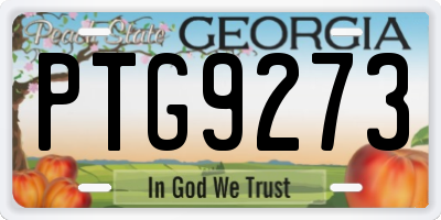 GA license plate PTG9273