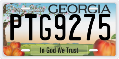 GA license plate PTG9275