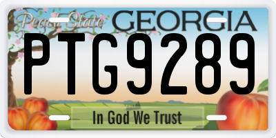 GA license plate PTG9289