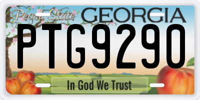 GA license plate PTG9290