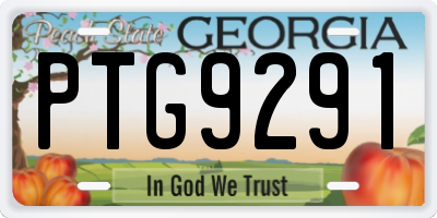 GA license plate PTG9291