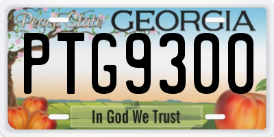 GA license plate PTG9300
