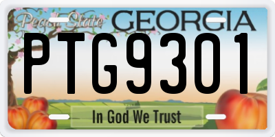 GA license plate PTG9301