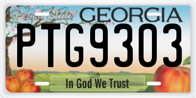 GA license plate PTG9303