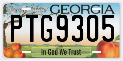 GA license plate PTG9305