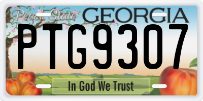 GA license plate PTG9307