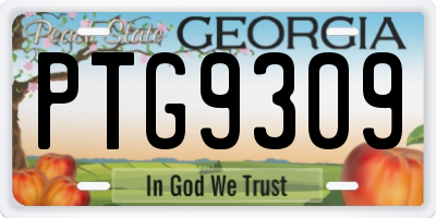 GA license plate PTG9309