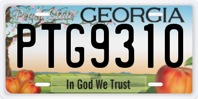 GA license plate PTG9310