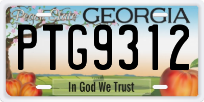GA license plate PTG9312